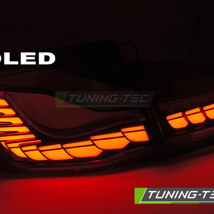 BMW F10 2010-2016 Fanali Posteriori OLED sequenziali fumé