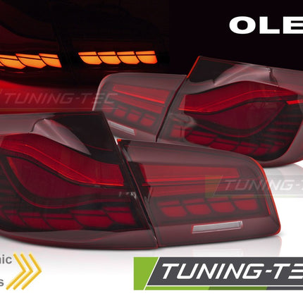BMW Serie 5 F10 2010-2016 Fanali Posteriori OLED sequenziali rossi
