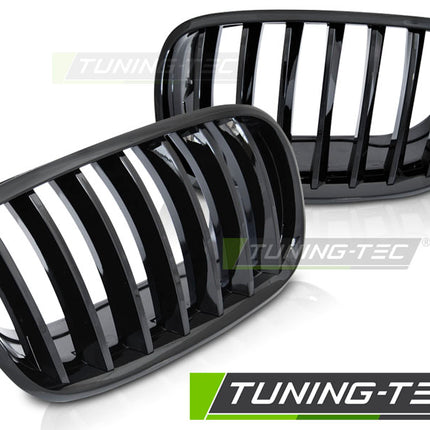 BMW X6 E71 2008-2014 Griglia Radiatore M Sport Nero Lucido