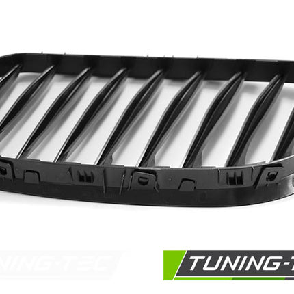 BMW Z4 E85 E86 2003-2008 Griglia Radiatore Nero Opaco