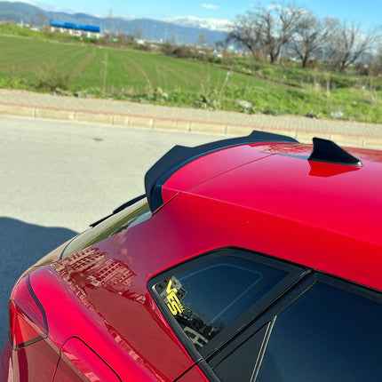 Spoiler Tetto per SEAT Ibiza Fr / SEAT Ibiza MK5 2017-2021